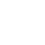 THE NEW SUSTAINABLE